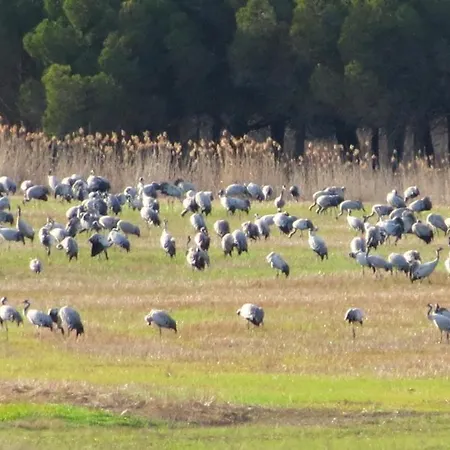 Mirador Grullas Отель 2*