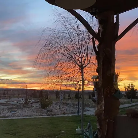 Отель Mirador Grullas 2*