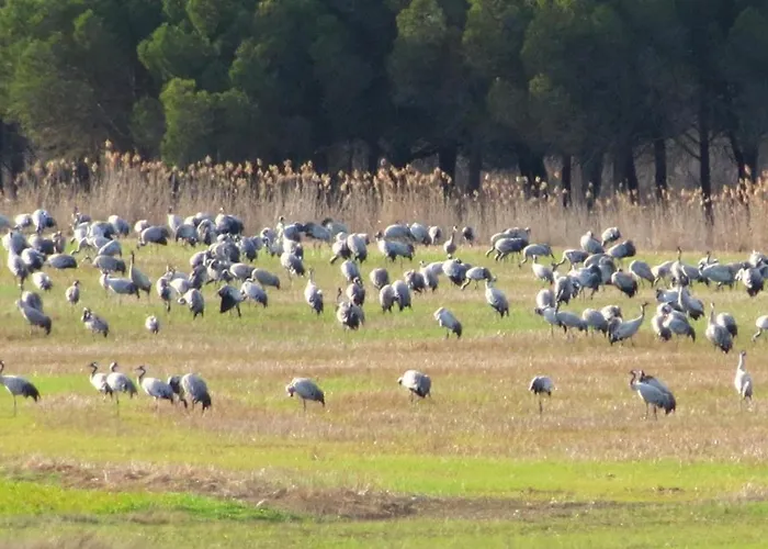 Mirador Grullas Hotell 2*