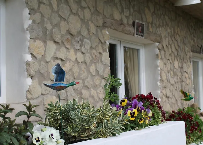 Mirador Grullas 2* Montmesa